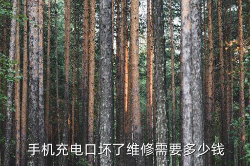  手機(jī)充電口壞了維修需要多少錢(qián)
