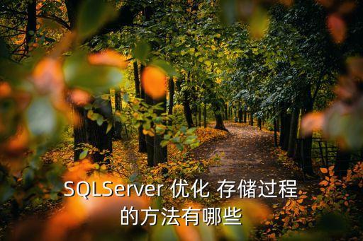 SQLServer 優(yōu)化 存儲過程的方法有哪些