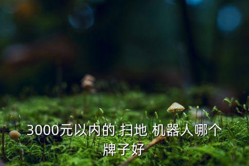 掃地機器人lg的怎么樣