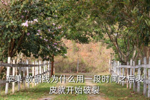 蘋果 數(shù)據(jù)線為什么用一段時(shí)間之后表皮就開始破裂