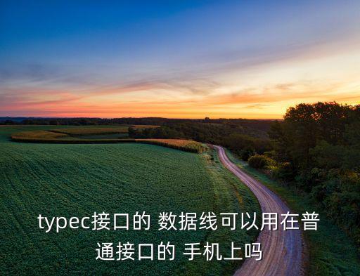 手機(jī)數(shù)據(jù)線是usb3.1