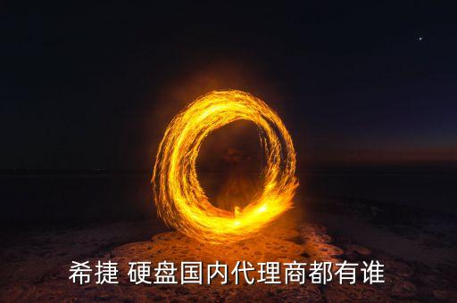 希捷 硬盤國內代理商都有誰