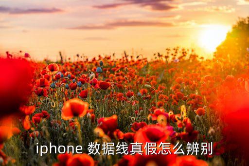iphone 數(shù)據(jù)線真假怎么辨別