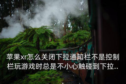 蘋(píng)果xr怎么關(guān)閉下拉通知欄不是控制欄玩游戲時(shí)總是不小心觸碰到下拉...