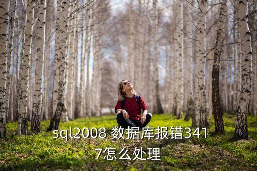  sql2008 數(shù)據(jù)庫報(bào)錯(cuò)3417怎么處理
