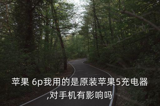 蘋果 6p我用的是原裝蘋果5充電器,對手機有影響嗎