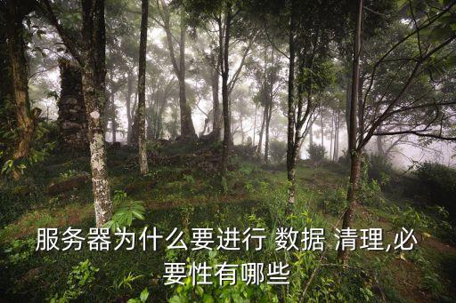 服務(wù)器為什么要進(jìn)行 數(shù)據(jù) 清理,必要性有哪些