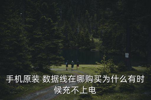手機(jī)原裝 數(shù)據(jù)線在哪購(gòu)買為什么有時(shí)候充不上電
