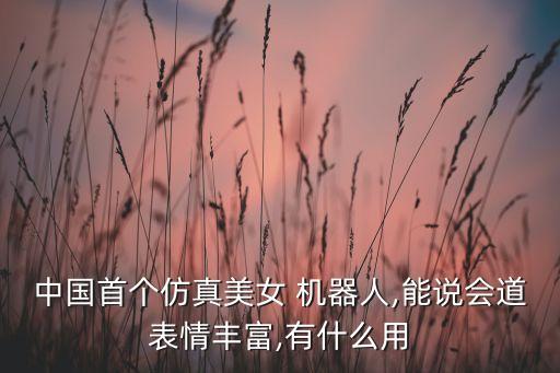 中國首個仿真美女 機(jī)器人,能說會道表情豐富,有什么用