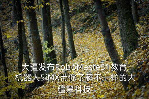 大疆發(fā)布RoboMasteS1教育 機(jī)器人5iMX帶你了解不一樣的大疆黑科技