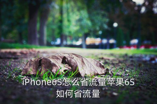 6s蜂窩數(shù)據(jù)如何清零,蘋果6s plus蜂窩數(shù)據(jù)打不開怎么辦