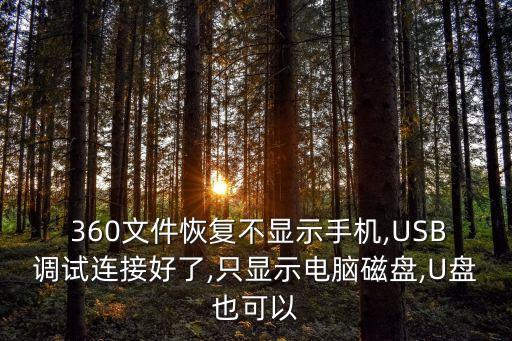  360文件恢復(fù)不顯示手機(jī),USB調(diào)試連接好了,只顯示電腦磁盤,U盤也可以