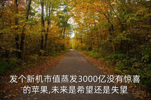 ihpone第一代的數(shù)據(jù)