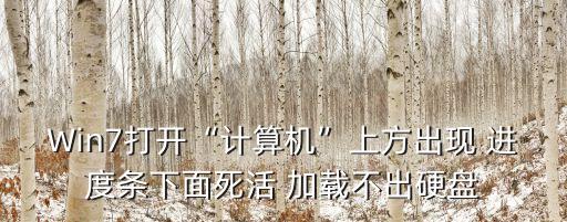 Win7打開“計(jì)算機(jī)”上方出現(xiàn) 進(jìn)度條下面死活 加載不出硬盤