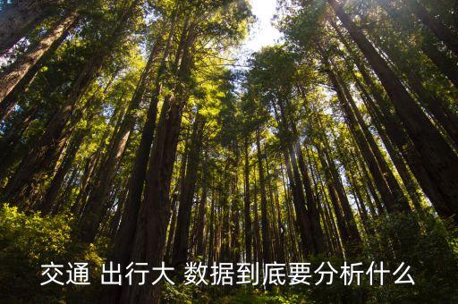 交通 出行大 數(shù)據(jù)到底要分析什么