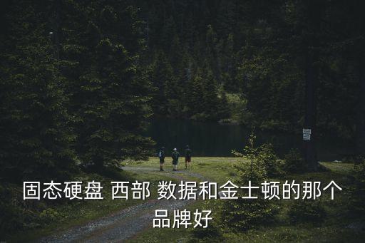 西部數(shù)據(jù)與美光,美光和西部數(shù)據(jù)哪個好
