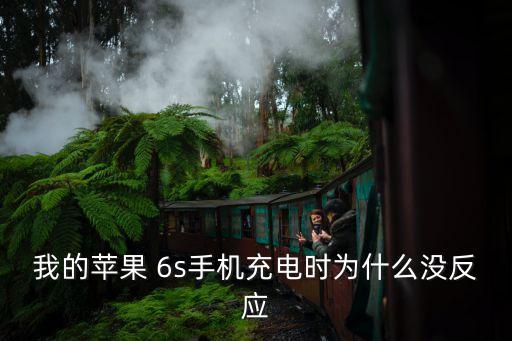 我的蘋果 6s手機充電時為什么沒反應(yīng)