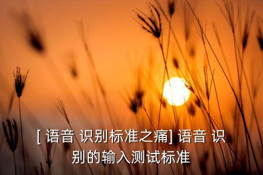 [ 語(yǔ)音 識(shí)別標(biāo)準(zhǔn)之痛] 語(yǔ)音 識(shí)別的輸入測(cè)試標(biāo)準(zhǔn)