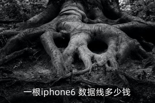 一根iphone6 數(shù)據(jù)線多少錢