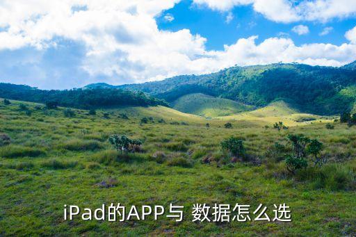 iPad的APP與 數(shù)據(jù)怎么選