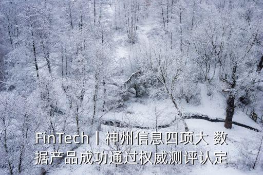 FinTech丨神州信息四項(xiàng)大 數(shù)據(jù)產(chǎn)品成功通過權(quán)威測(cè)評(píng)認(rèn)定