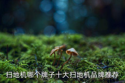掃地機(jī)哪個(gè)牌子十大掃地機(jī)品牌推薦