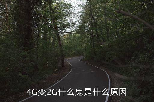 4G變2G什么鬼是什么原因