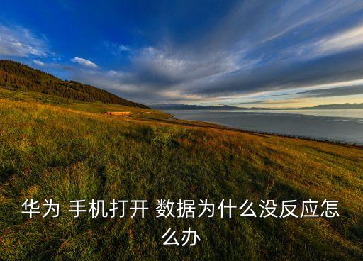 華為 手機(jī)打開 數(shù)據(jù)為什么沒反應(yīng)怎么辦