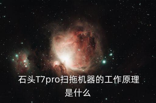 石頭機(jī)器人標(biāo)配