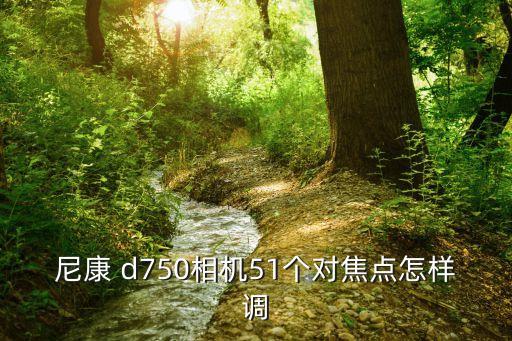 d750怎么打開(kāi)自動(dòng)對(duì)焦,尼康d750如何自動(dòng)對(duì)焦人臉