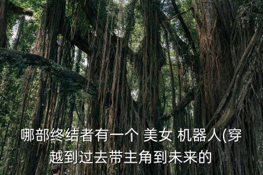 哪部終結(jié)者有一個(gè) 美女 機(jī)器人(穿越到過去帶主角到未來的
