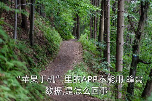“蘋果手機(jī)”里的APP不能用 蜂窩 數(shù)據(jù),是怎么回事
