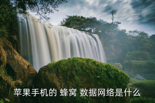 蘋果手機(jī)的 蜂窩 數(shù)據(jù)網(wǎng)絡(luò)是什么
