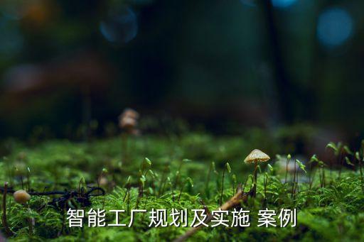 工業(yè)機(jī)器人行業(yè)案例