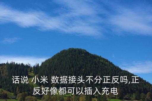 話說 小米 數(shù)據(jù)接頭不分正反嗎,正反好像都可以插入充電