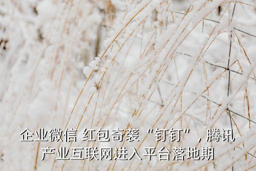 騰訊紅包云端數(shù)據(jù)