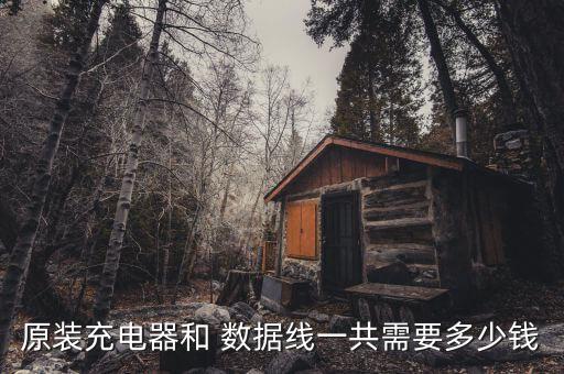 魯?shù)皵?shù)據(jù)線多錢