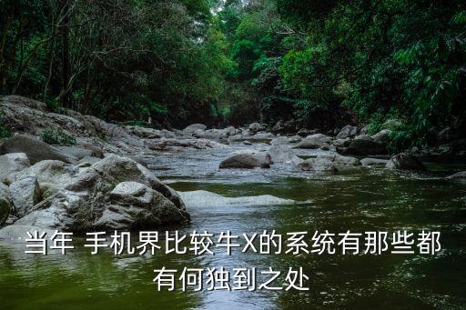 當年 手機界比較牛X的系統(tǒng)有那些都有何獨到之處