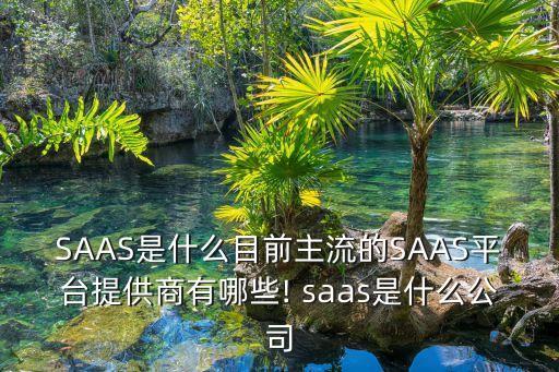 SAAS是什么目前主流的SAAS平臺提供商有哪些! saas是什么公司