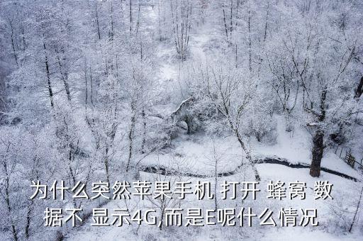 為什么突然蘋果手機(jī) 打開 蜂窩 數(shù)據(jù)不 顯示4G,而是E呢什么情況