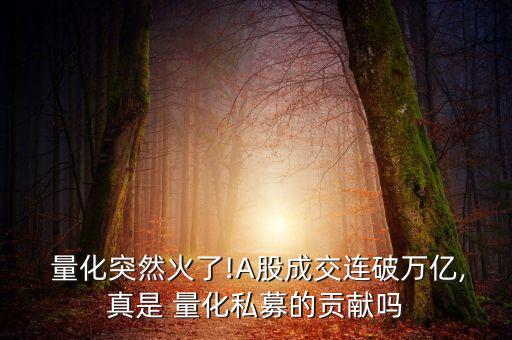 量化交易 大數(shù)據(jù)
