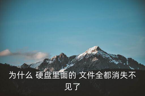 為什么 硬盤里面的 文件全都消失不見了