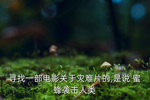 尋找一部電影關(guān)于災(zāi)難片的,是說 蜜蜂襲擊人類