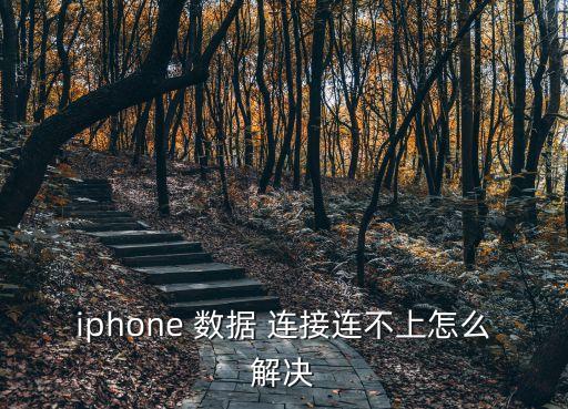 iphone 數(shù)據(jù) 連接連不上怎么解決