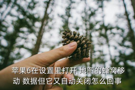  蘋果6在設(shè)置里打開 地圖的蜂窩移動(dòng) 數(shù)據(jù)但它又自動(dòng)關(guān)閉怎么回事