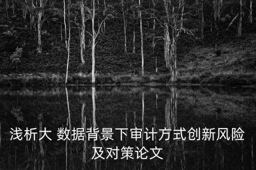 淺析大 數(shù)據(jù)背景下審計方式創(chuàng)新風(fēng)險及對策論文