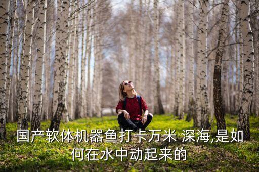 最大深海機器人,深海采礦機器人的小說