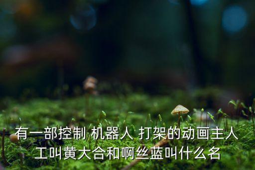 智能打架機器人,兩個機器人打架的電影
