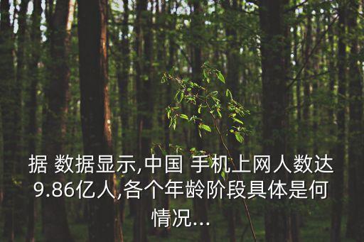 據(jù) 數(shù)據(jù)顯示,中國 手機(jī)上網(wǎng)人數(shù)達(dá)9.86億人,各個(gè)年齡階段具體是何情況...