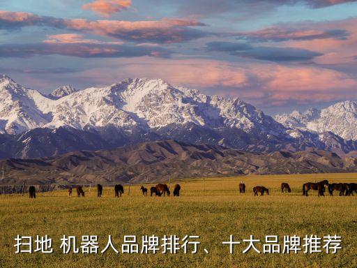掃地 機(jī)器人品牌排行、十大品牌推薦